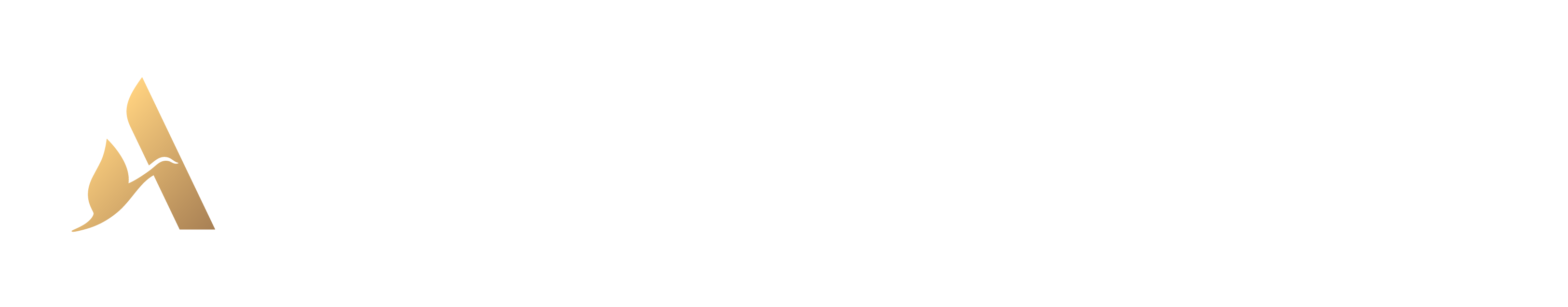 Accor Stadium Accor Stadium