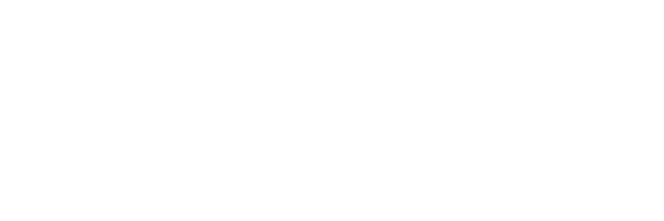 vnsw_logo_600x200.png
