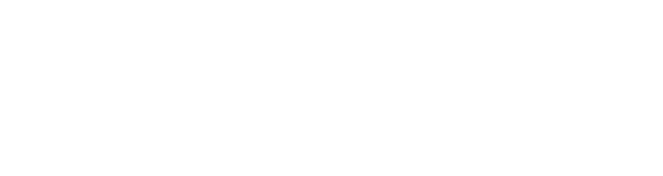 VNSWOH_Website_Logo(Negative).png