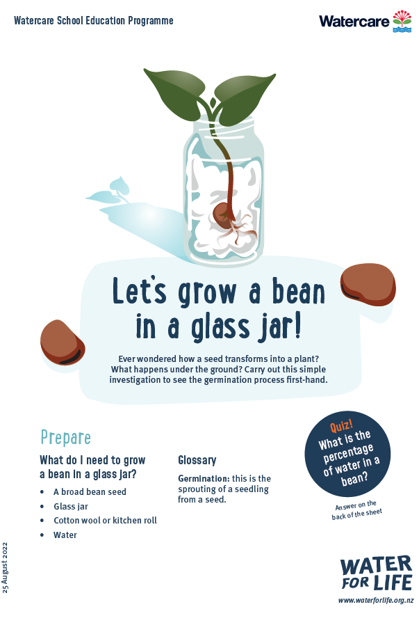 grow_a_bean_activity.pdf