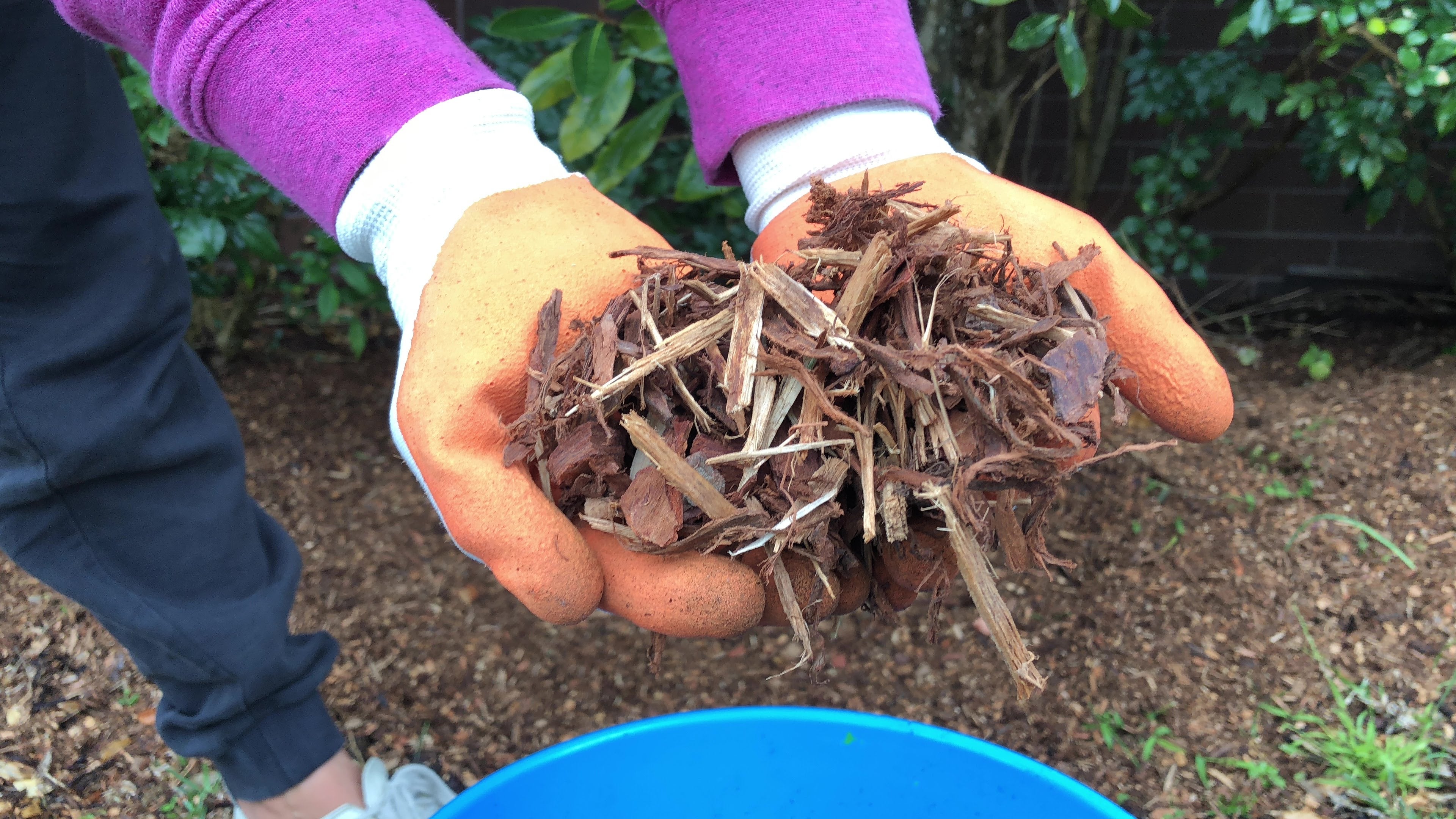 Photo of a person holding mulch for the garden