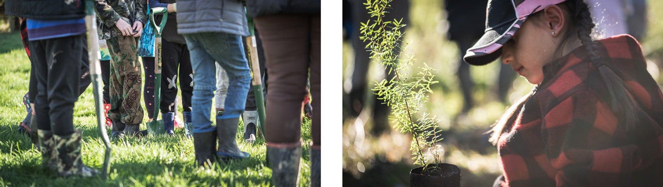 Ararimu School students equipped with spades and gloves get prepared to plant native species on riverbanks.