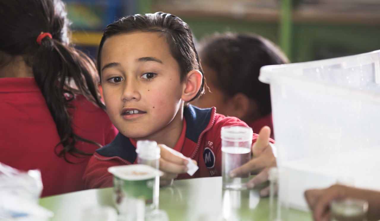 School student engages with water sample in Watercare's Water Education Programme. 