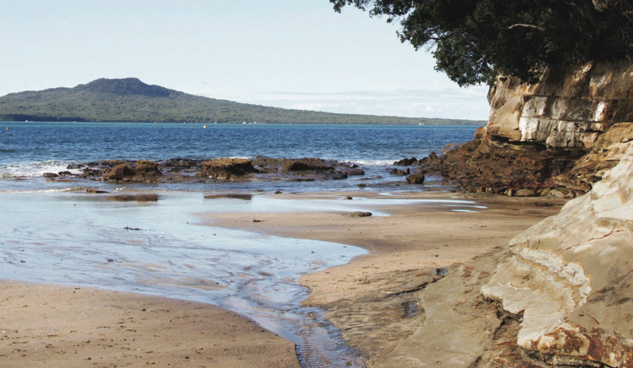 A suburban stream flows into the Waitematā Harbour on a North Shore beach.