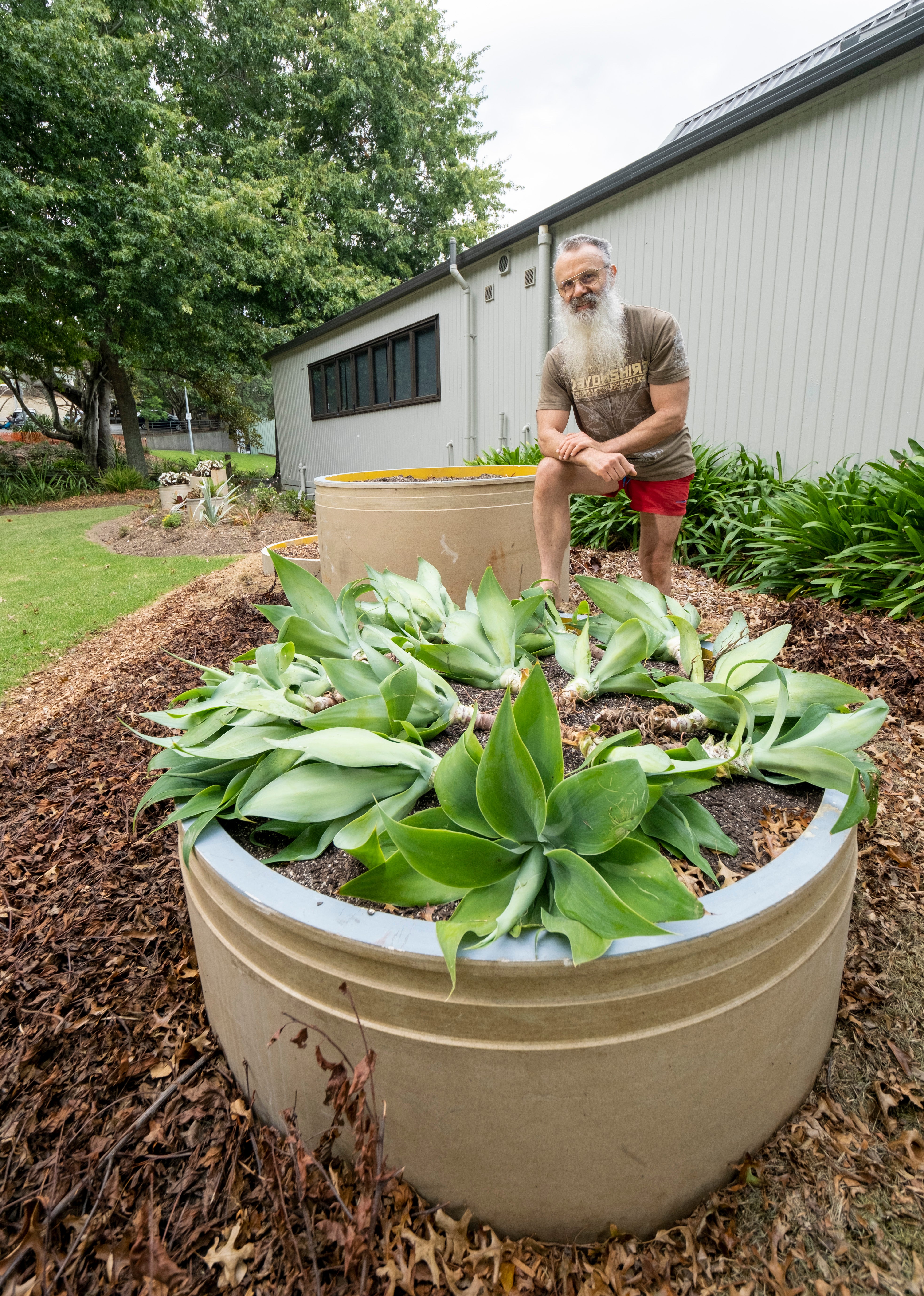 Mark has used pipe off-cuts as planters in Freemans Bay Park.