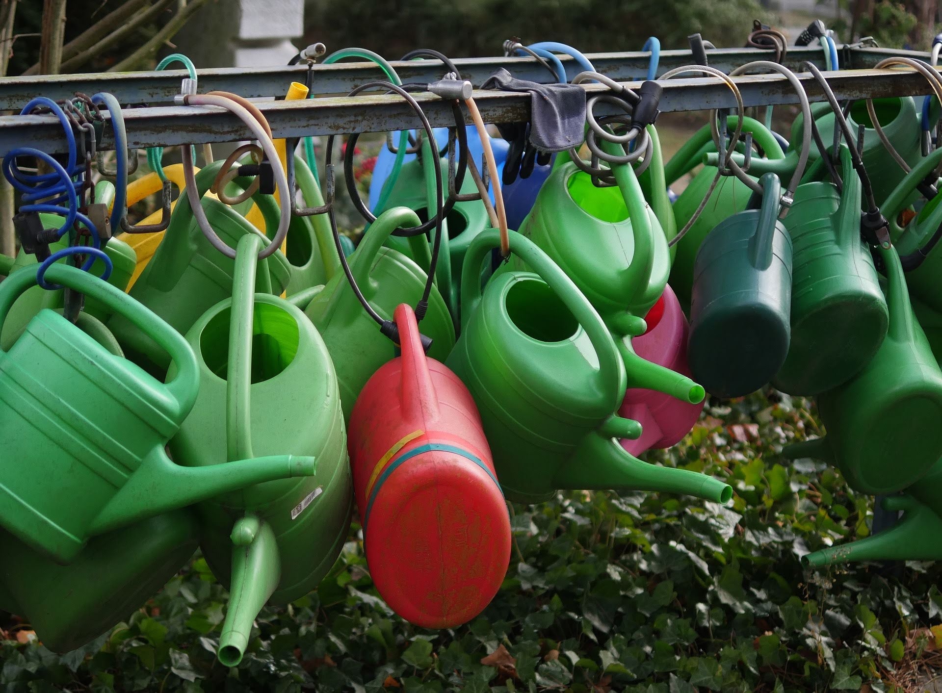 Photo of a lot of watering cans hanging up