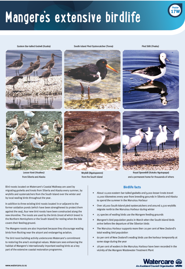 mangere_extensive_birdlife.pdf
