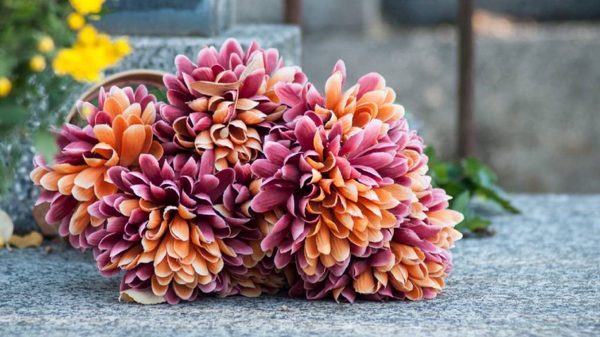 Colourful flowers atop a grave.