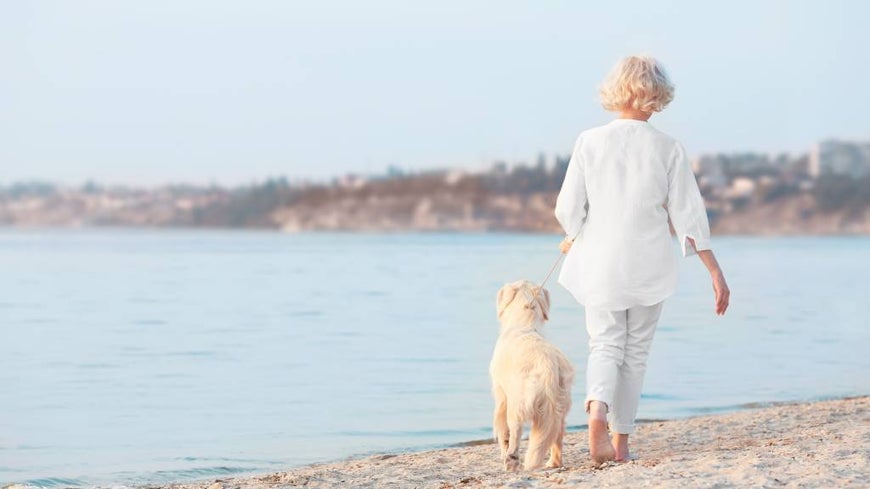 Senior woman walks dog on a beach