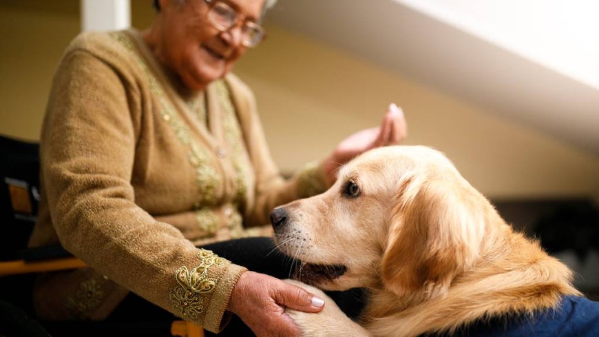 Senior woman at home with assistance dog.