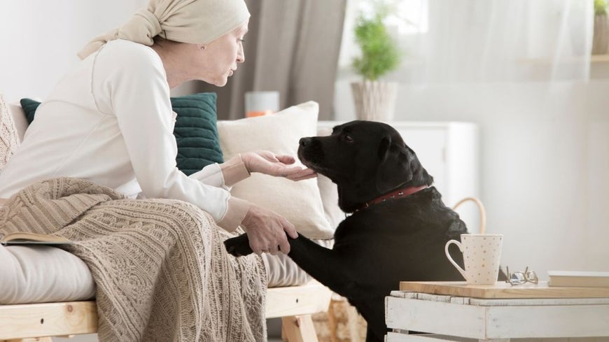 sick older woman at home being comforted by dog