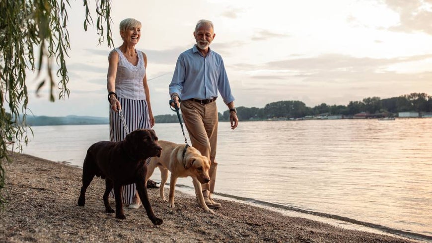 couple walking on beach with dog 