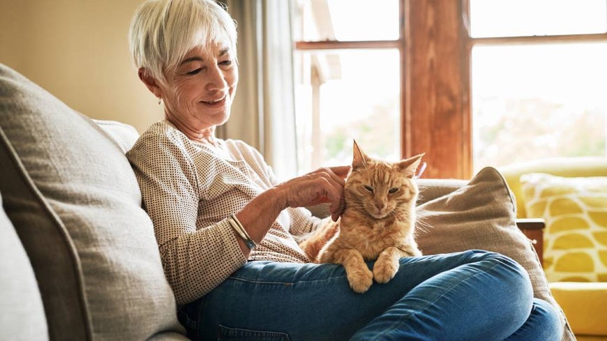 Senior woman holding pet cat