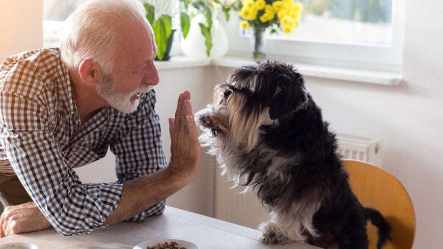 Australian senior at home with pet dog