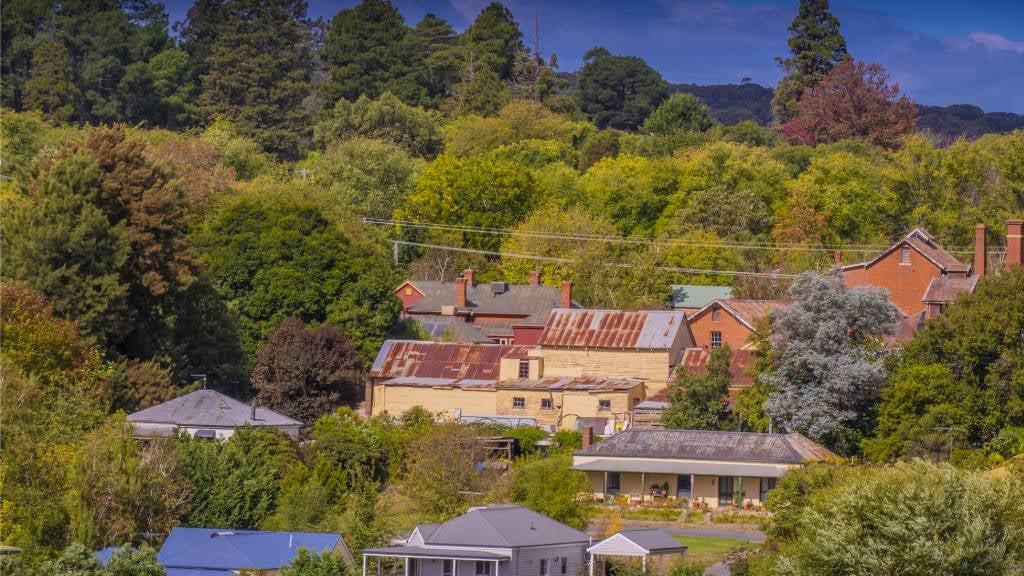 The Victorian town of Beechworth with houses and autumn leaves.