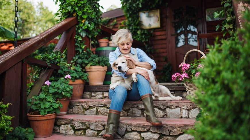 Senior woman and her dog relax in the garden