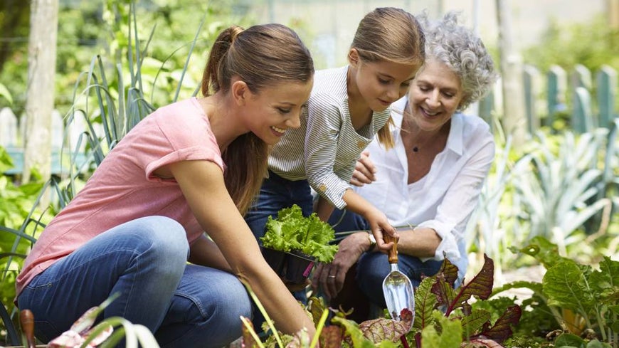 Three generations of women gardening together