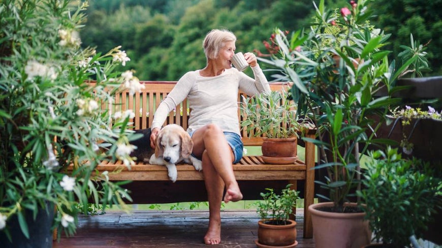 Older woman drinks tea in garden seat with dog on sunny day