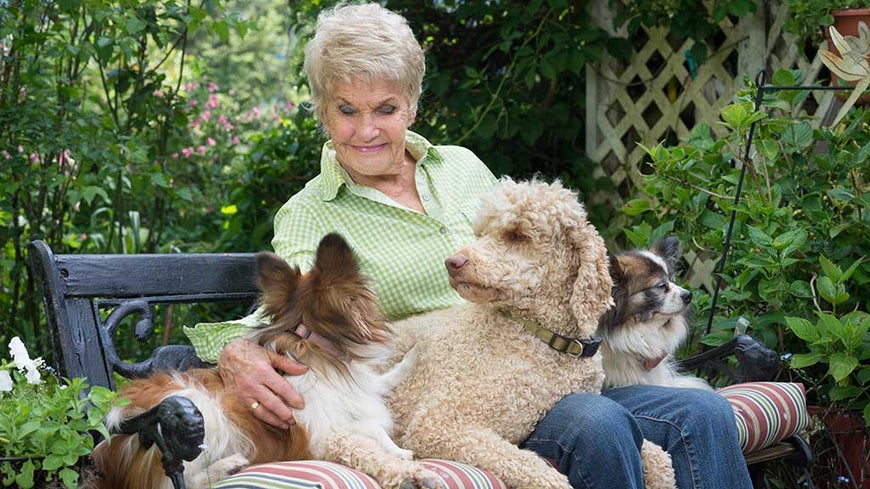 Benefits of owning a pet for over 50s