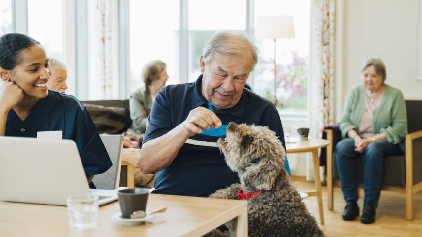 Seniors engage with a dog in an aged care facility