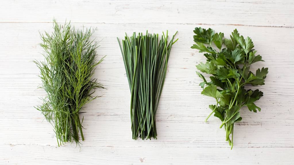Freshly cut bunches of dill, chives and flat leaf parsley