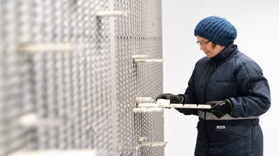 Stem cells are beeing stored and saved Stem cells are beeing stored and saved