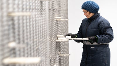 Stem cells are beeing stored and saved Stem cells are beeing stored and saved