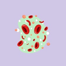 Sickle Cells 
