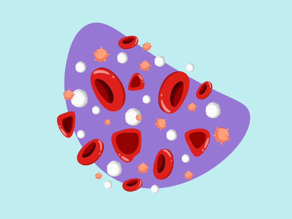 Thal image Thal image