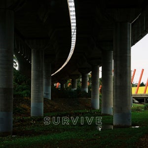 Artwork for track: Survive by Zapéd