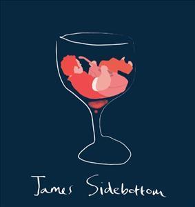 Artwork for track: The News by James and the Sidebottom Band