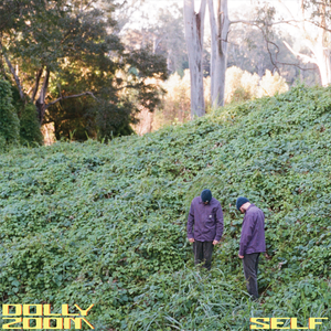 Artwork for track: Self by DOLLY ZOOM