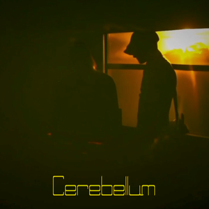 Artwork for track: Cerebellum by Bailout