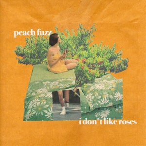 Artwork for track: I Don't Like Roses by Peach Fuzz