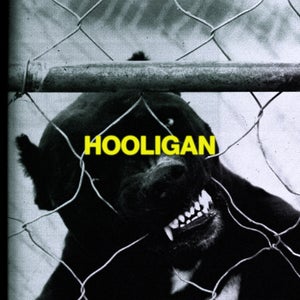 Artwork for track: HOOLIGAN by TWERL