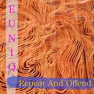 Artwork for track: Repeat and Offend by Euniq