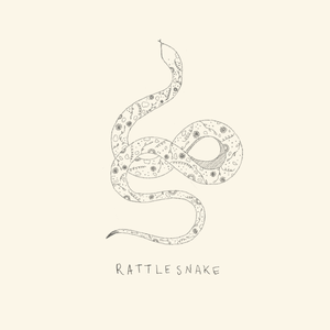 Artwork for track: rattlesnake  by Shana