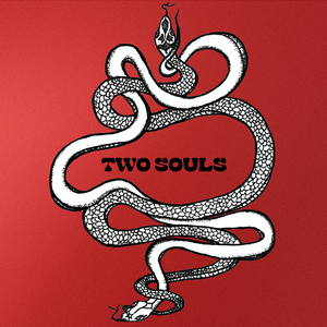 Artwork for track: Two Souls by Apricot Ink