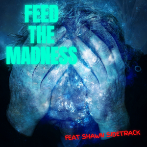 Artwork for track: "Feed The Madness (ft. Shawn Sidetrack)" by Reckless Velvet