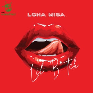 Artwork for track: #DIYSupergroup - Lil B*tch by LONA MISA