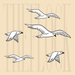 Artwork for track: Seagulls in Anglesea by The Flock