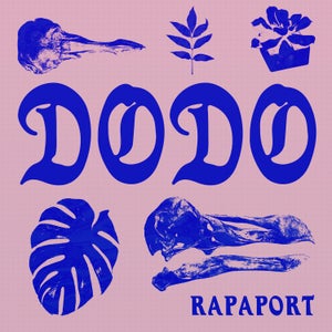 Artwork for track: Dodo by Rapaport
