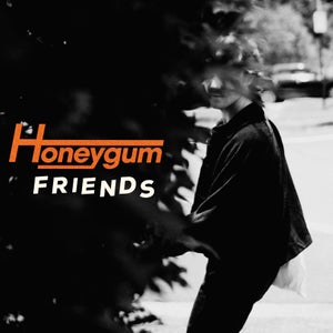 Artwork for track: Friends by Honeygum