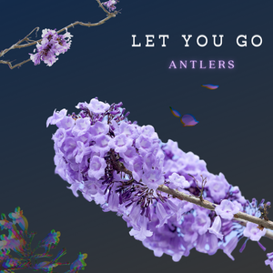 Artwork for track: Let You Go by Antlers