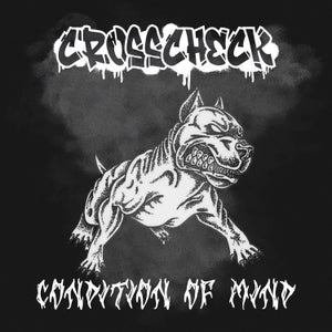 Artwork for track: Condition Of Mind by Crosscheck
