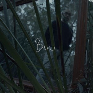 Artwork for track: Bull by East Denistone