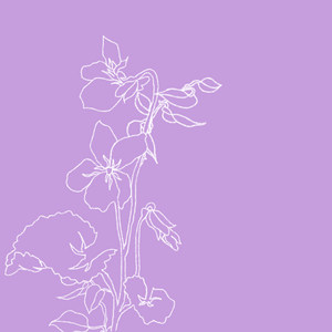 Artwork for track: Violet by Yoste