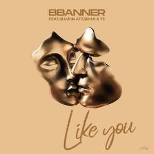 Artwork for track: Like You by BBanner