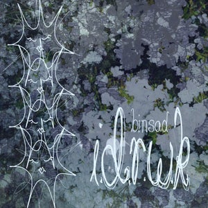 Artwork for track: idrwk by binsad