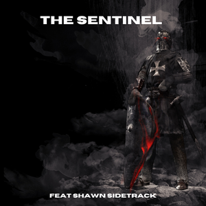 Artwork for track: The Sentinel (ft. Shawn Sidetrack) by Reckless Velvet
